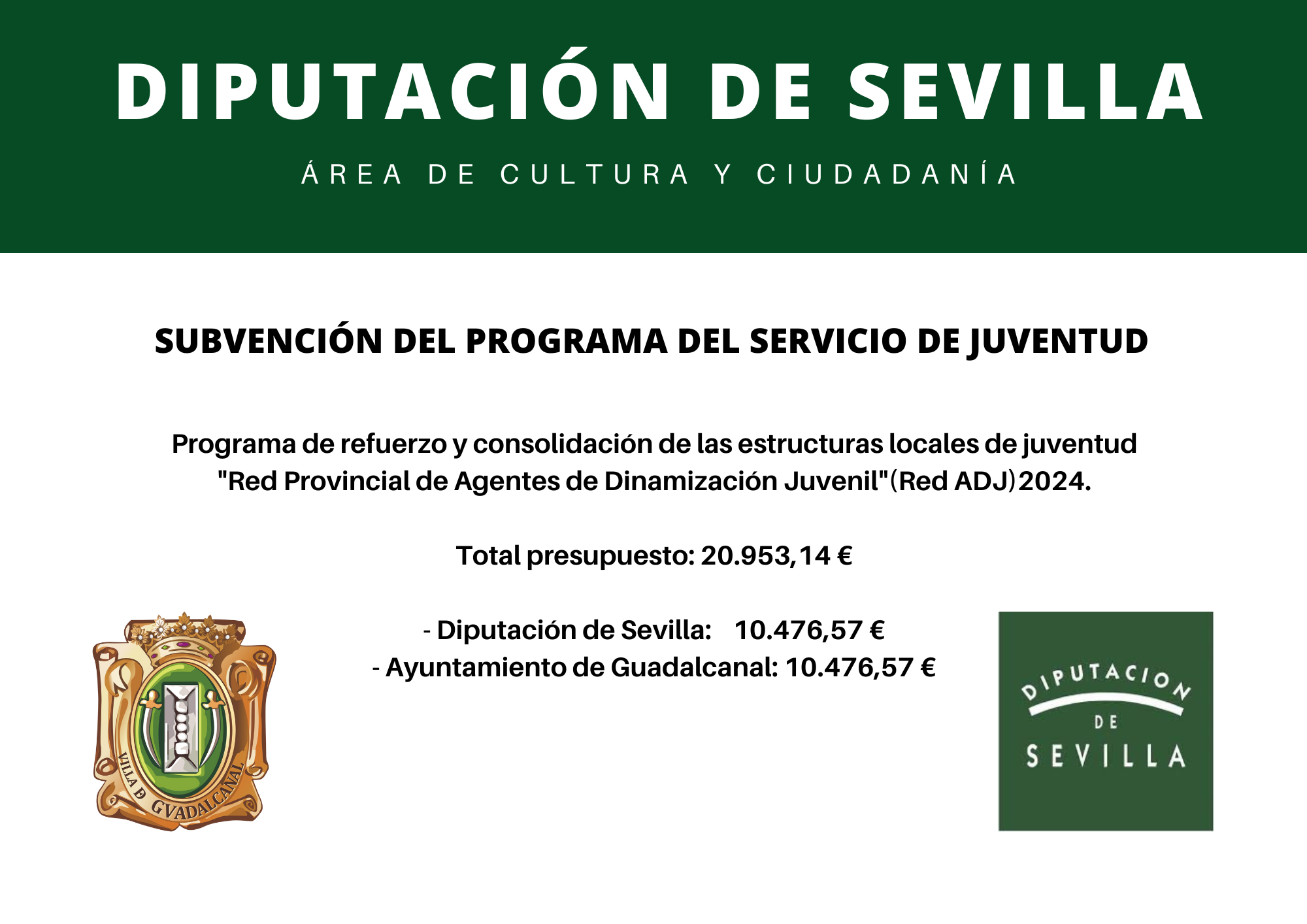 Cartel Subv. Progr. Servicio Juventud 2024